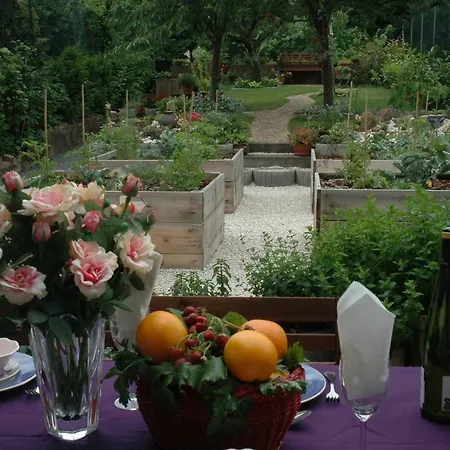 Appartement Mirabelle Avec Jardin - Centre Ribeauville Buitenkant foto