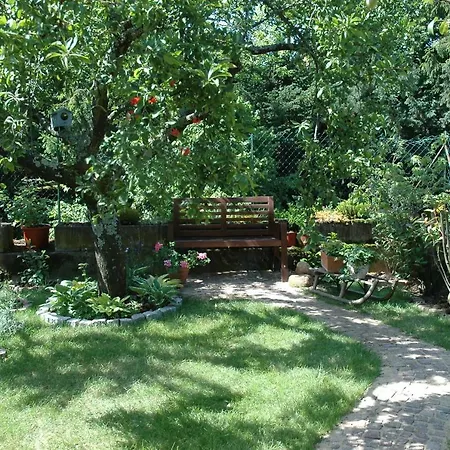 Appartement Mirabelle Avec Jardin - Centre Ribeauville Buitenkant foto