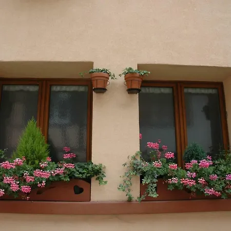 Appartement Mirabelle Avec Jardin - Centre Ribeauville Buitenkant foto