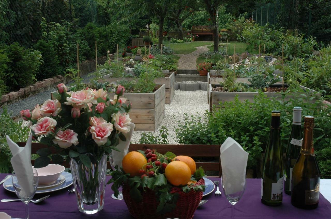 Mirabelle Avec Jardin - Centre Apartment