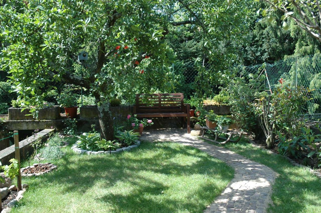 Mirabelle Avec Jardin - Centre Apartment