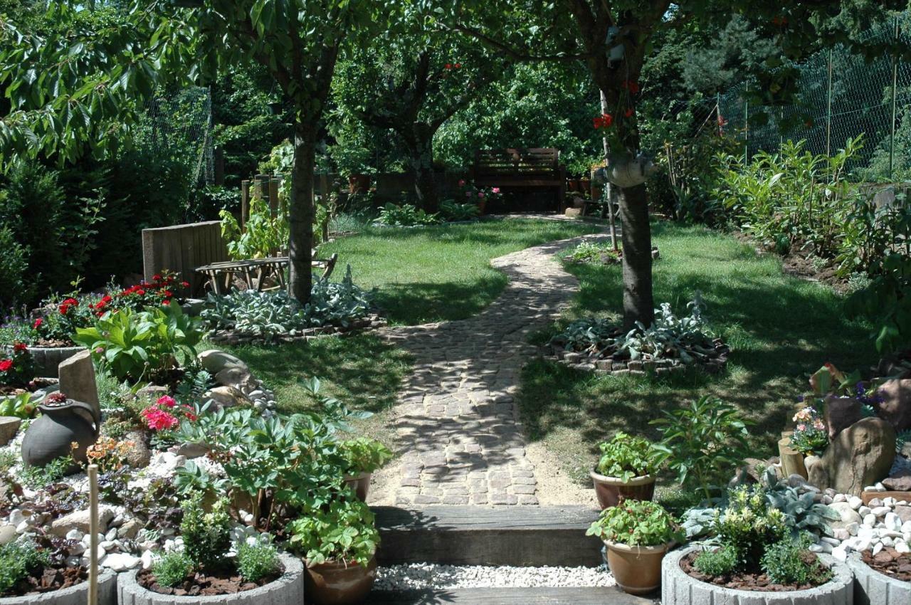 Mirabelle Avec Jardin - Centre Apartment